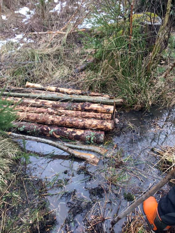 Dike som har pluggats