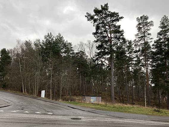 Vägkorsning med skog i bakgrunden