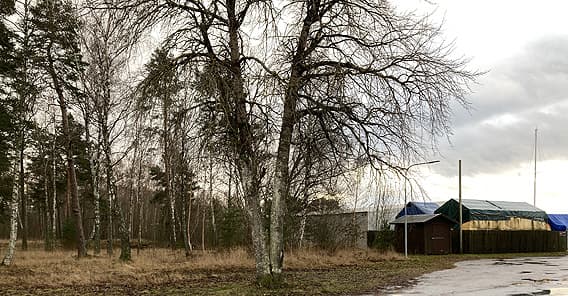 Skog med en båtuppställningsplats i bakgrunden