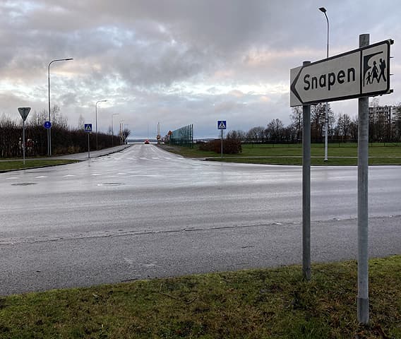 Vägkorsning