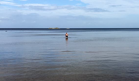 Badare går i långgrunt vatten