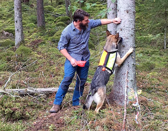Hund följer husses doftspridning