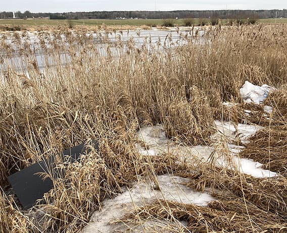 Skräp i vassen längs Tidan