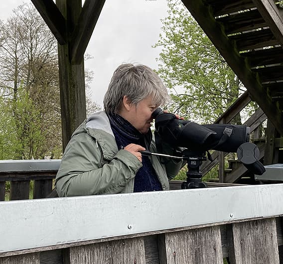 En fågelskådare tittar i sin kikare på stativ