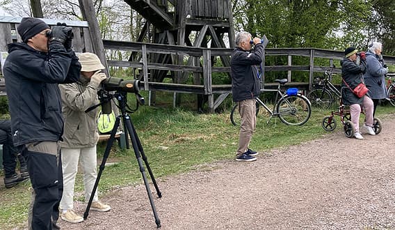 Alla tittar i sina kikare