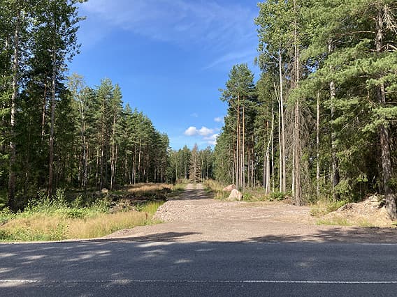 En grusväg in i skog