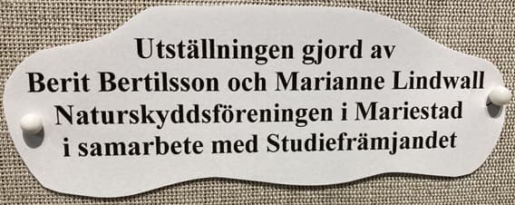 Namnskylt