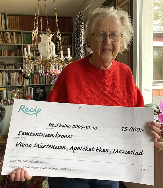 Vieno visar sitt stipendium