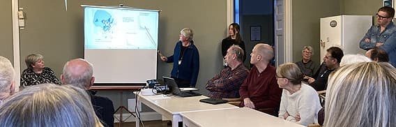 Ada pekar på porjektorduk