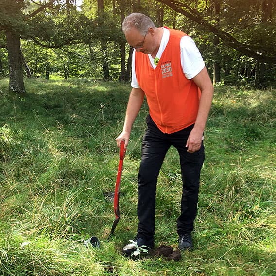 Jan planterar en ek