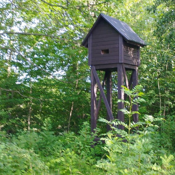 Mörkt fladdermushus på höga ben