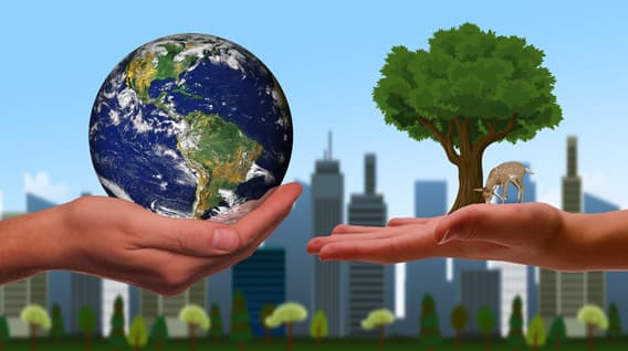 Två händer som håller upp ett jordklot och ett träd