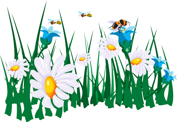 Blommor och bin illustrerade