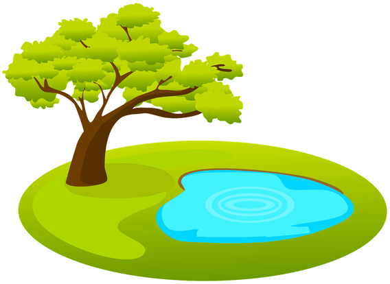 Ett träd och en damm
