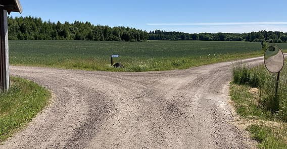 Vägkorsning