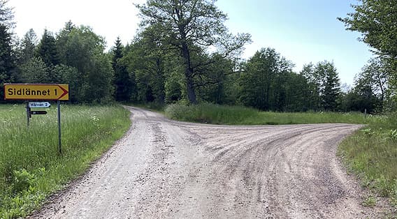 Vägkorsning