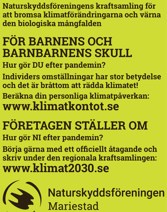 Samma text som i PDF nedan