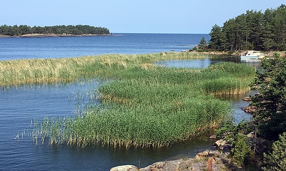 Utsikt från Marberget