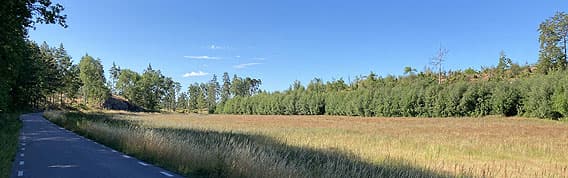 En bilväg parallellt med planområdets berg