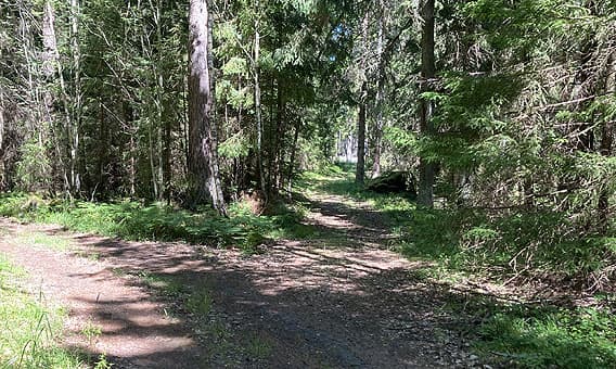 Stig från väg