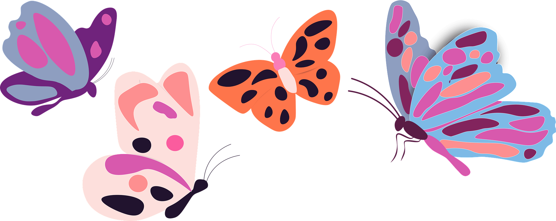 Några fjärilar illustrerade