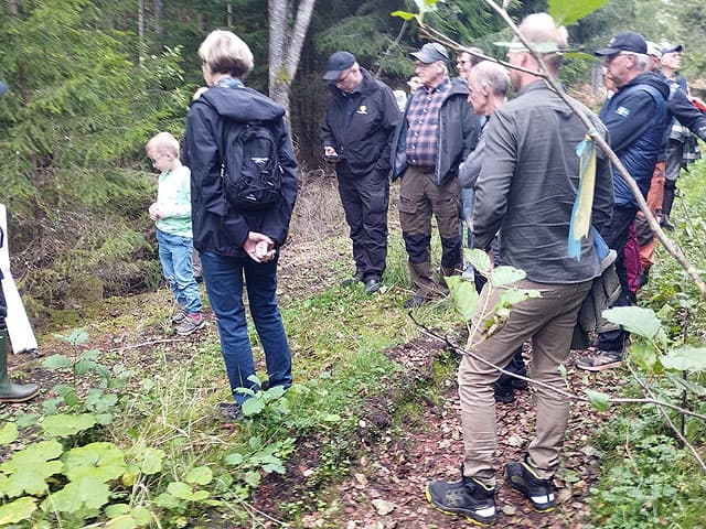 Deltagare i skogen