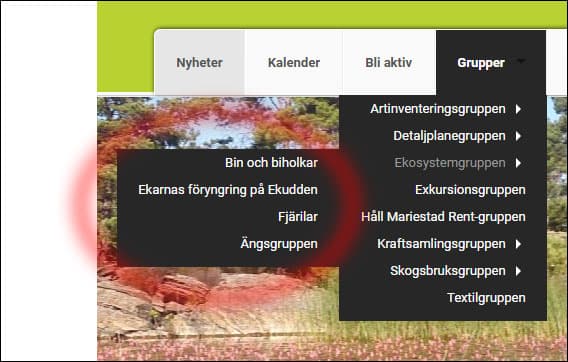 Den tredje menynivån är inringad