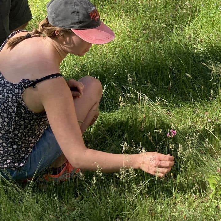 En deltagare sitter på huk och känner på en ängsblomma
