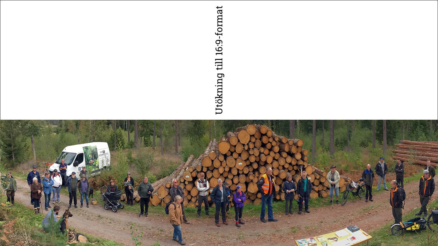 Panoramabild vid samlingen (samma bild men med utökad höjd till 16:9-format för att visas i full ...