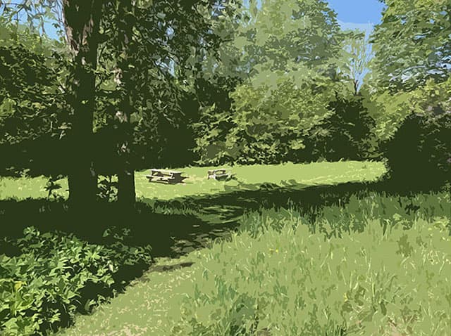 En äng illustrerad