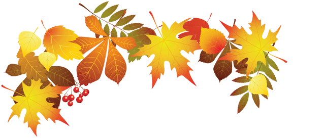 En mängd olika höstlöv