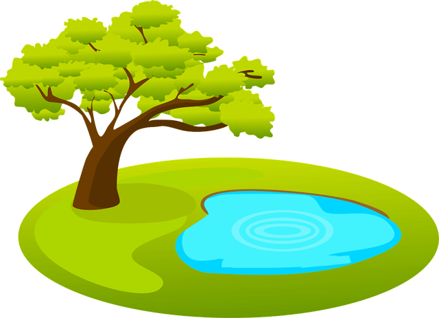 Ett träd och en damm