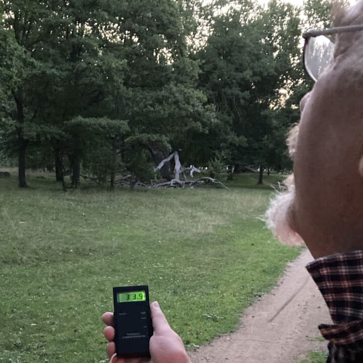 Mats spanar mot trädtopparna i skymningen, med en frekvensmätare i handen.