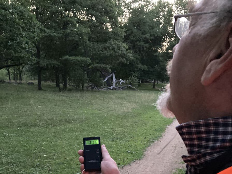 Mats spanar mot trädtopparna i skymningen, med en frekvensmätare i handen.