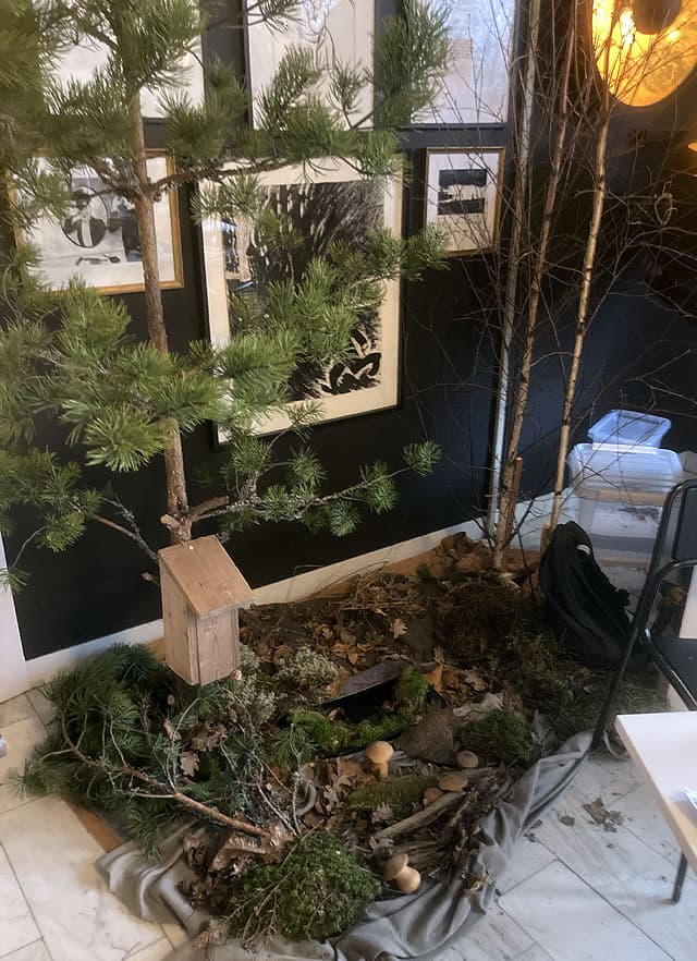 Modellskog med en tall och några björkar, samt svamp, mossor och lavar.