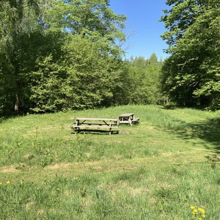 Rörviks äng med två bänkbord. Bilden togs i mitten av maj.